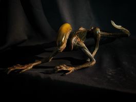 Alien Dog, HR Giger, not Sideshow Hot Toys
