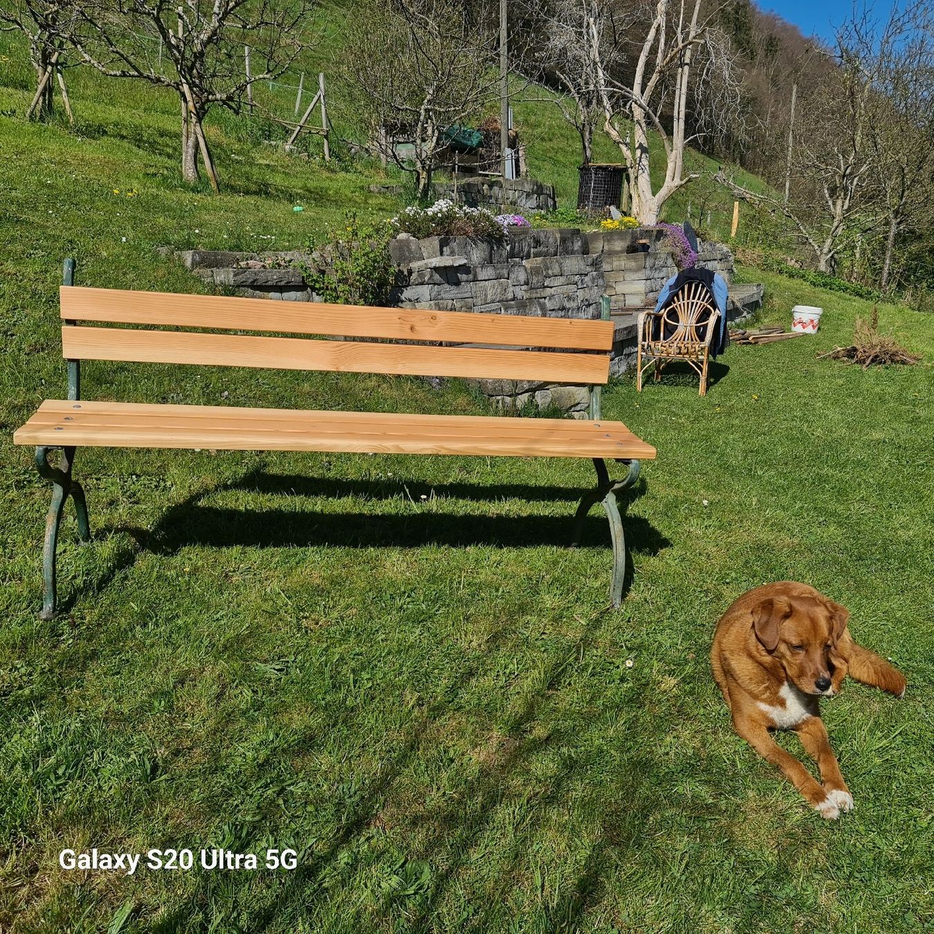 Panchine: GARTEN BÄNKLI – Nuovo (secondo la descrizione) da St.Gallen venduto da EL03 2