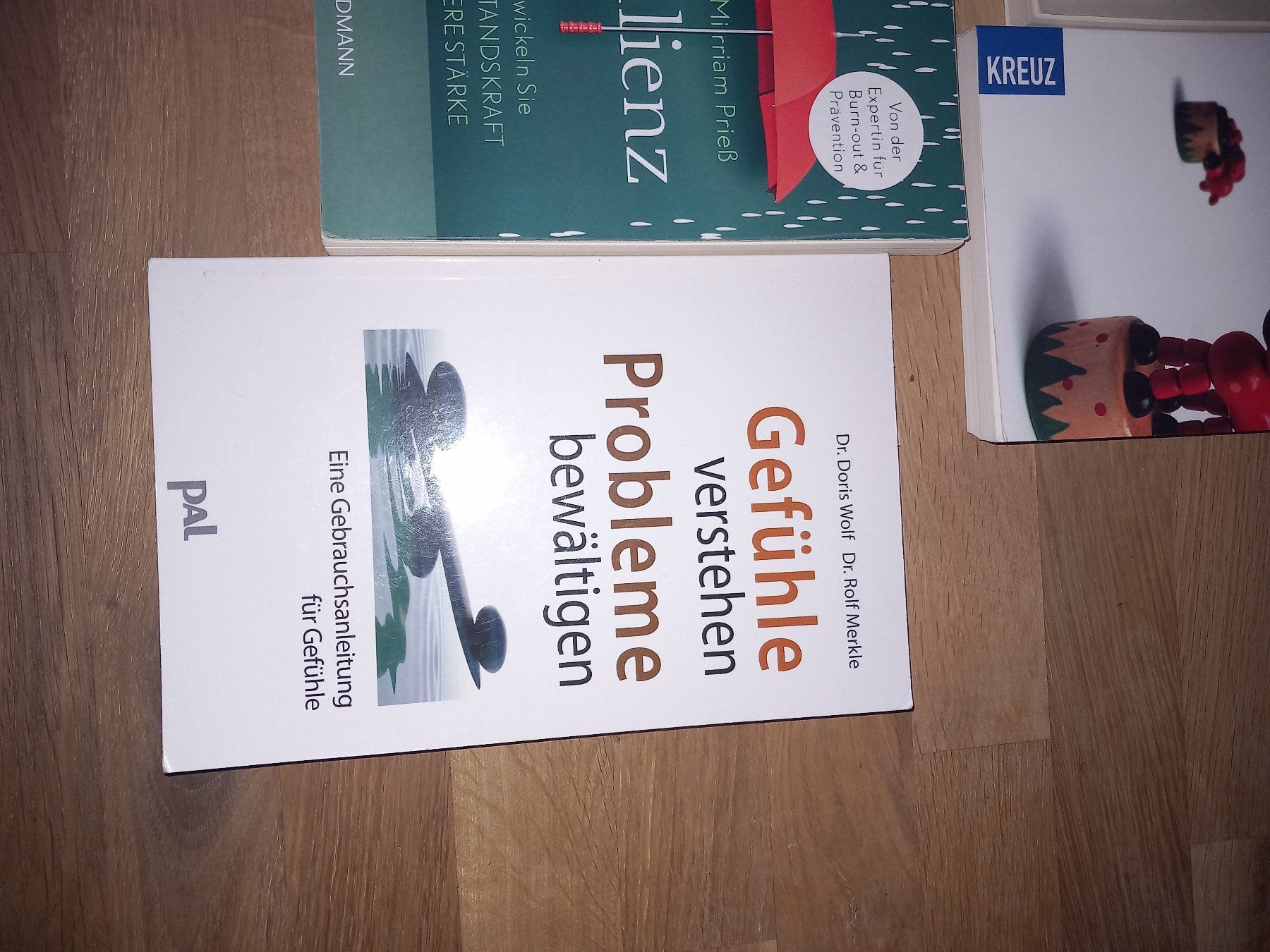 Libri: 5 Bücher Resilienz, etc – Usato da Maschwanden venduto da summernight7 5