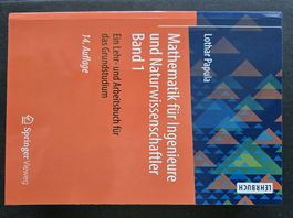 Mathematik für Ingenieure und Naturwissenschaftler Band 1