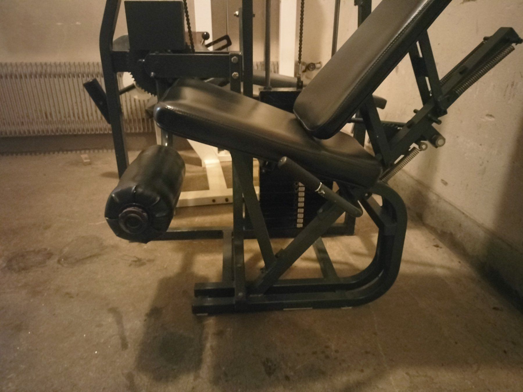 Nautilus Vélos d'appartement: Nautilus Beinstrecker normal – D'occasion à Wil SG par kaizzen 2