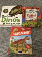3 Dinosaurier Kinderbucher DK und Wissen gebraucht