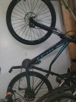stoke velo 27.5 zoll