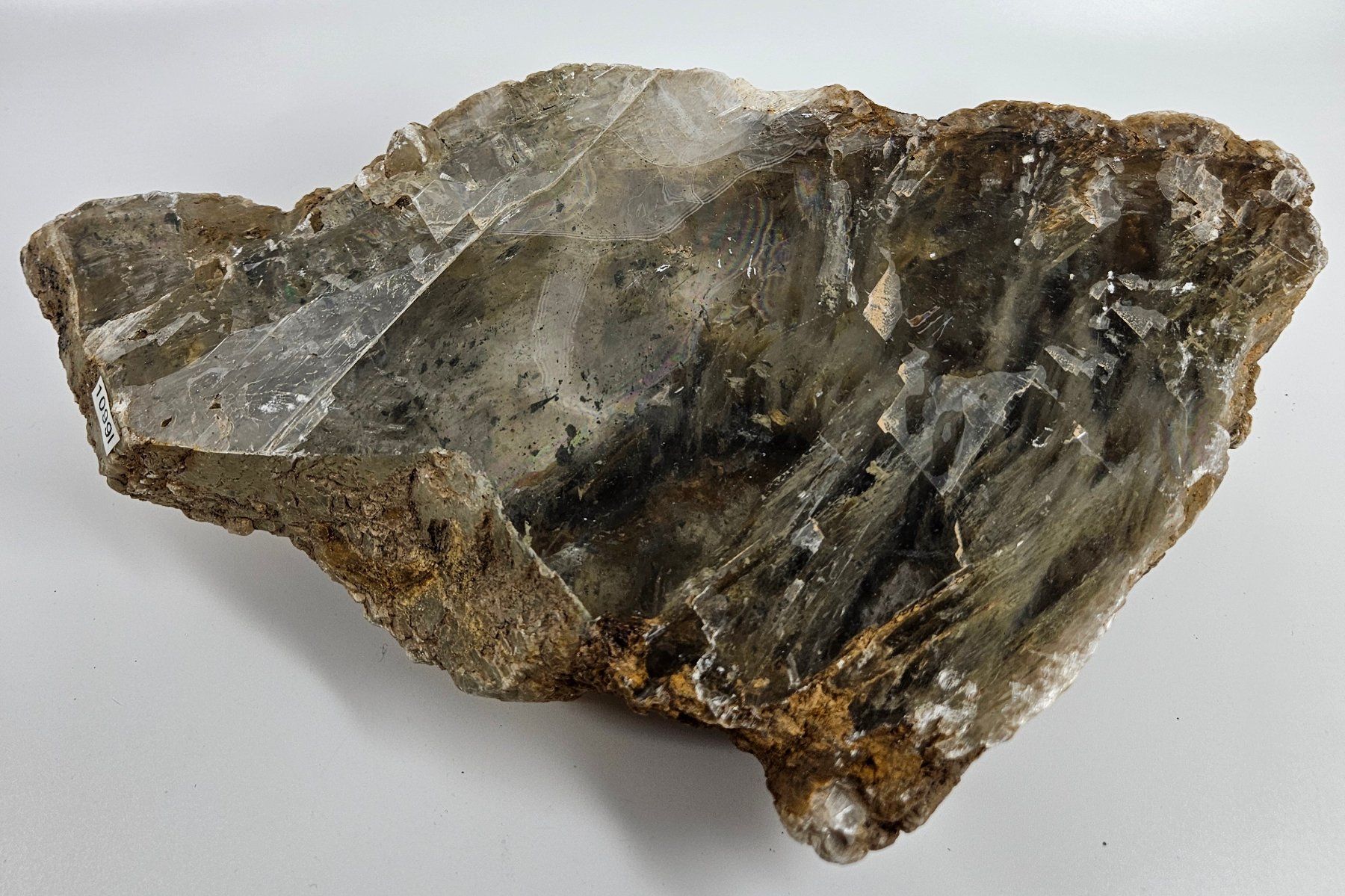 Minerali & Pietre curative: Gipsstufe, Südtunesien – Usato da Uzwil venduto da Chobel1 1