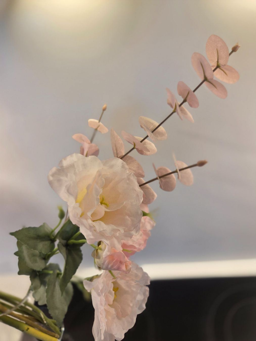 Plantes & graines: Blumen plastik – D'occasion à Zürich par Lela-Mirela
