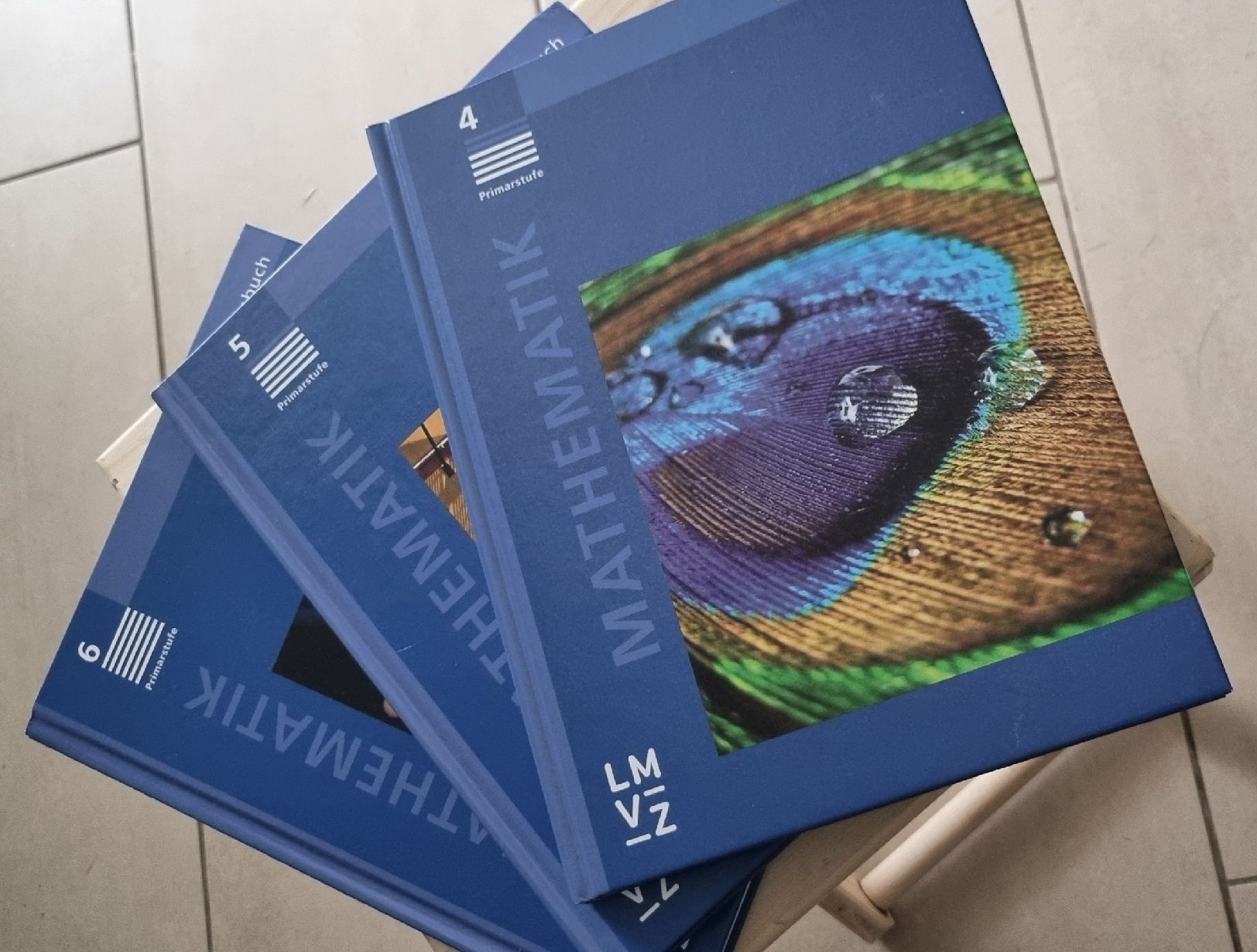 Libri: Mathematik Themenbuch 4./5./6. Primarklasse – Usato da Breitenbach venduto da 49fleur