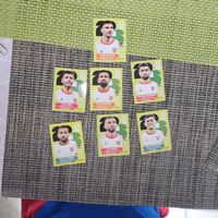Panini