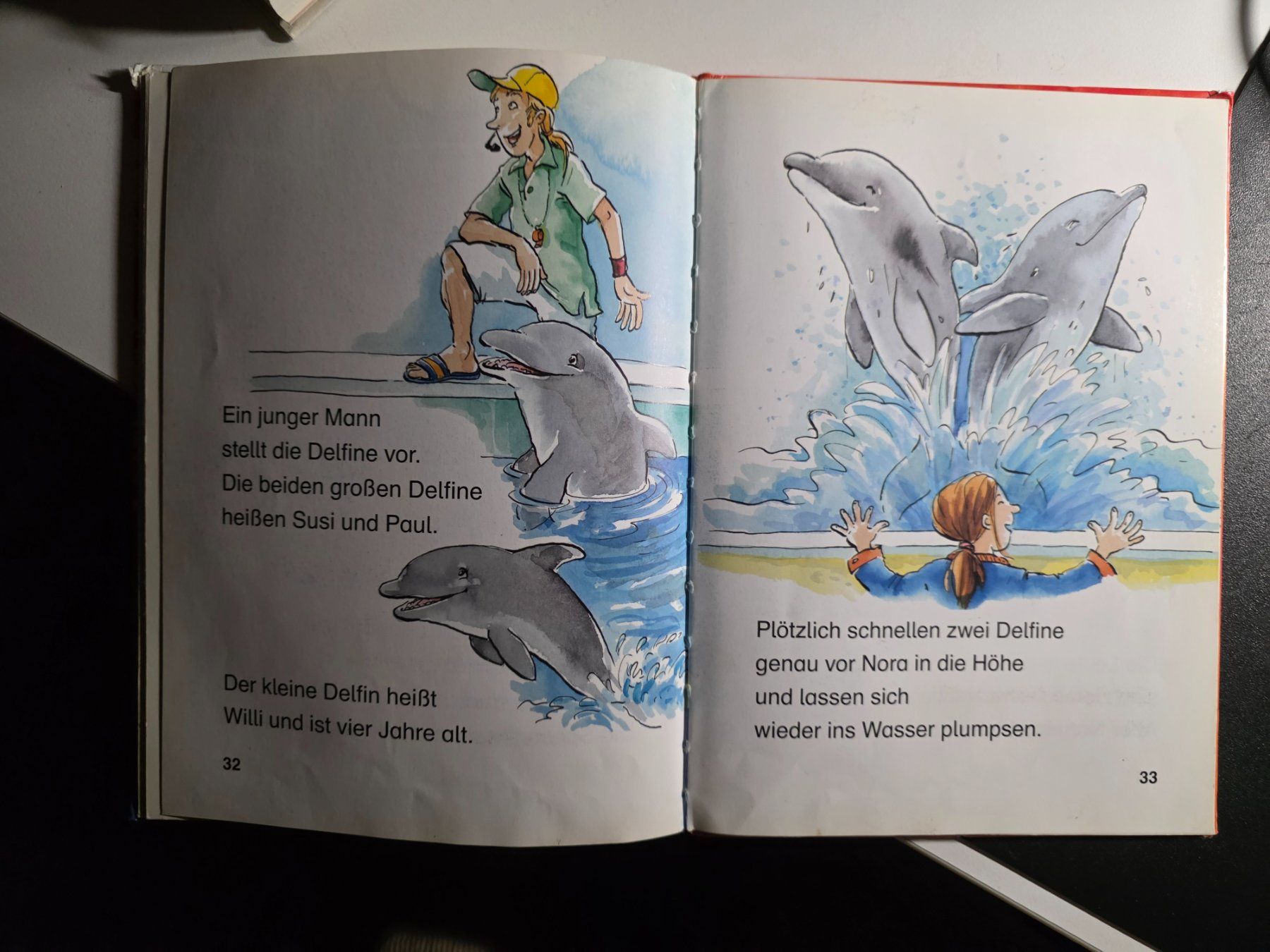 Bücher: Leserabe - Delfin Geschichten - 2005 – Gebraucht aus Walterswil BE von Lonitti 6