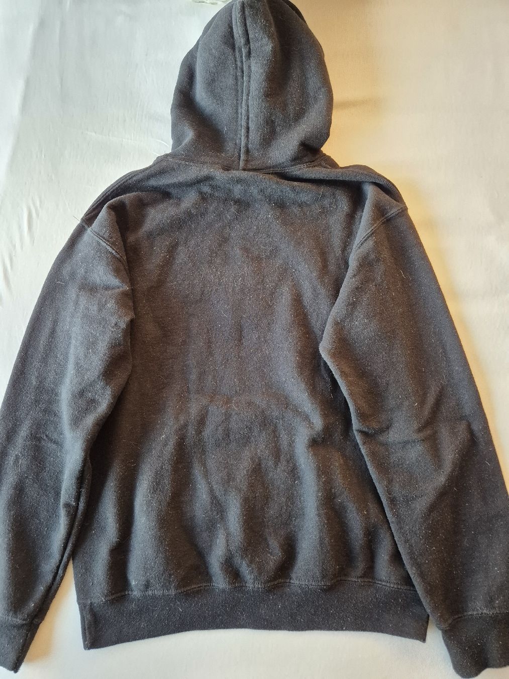 Maglioni & Felpe: Hoodie – Usato da Schlieren venduto da nat_76vd 2