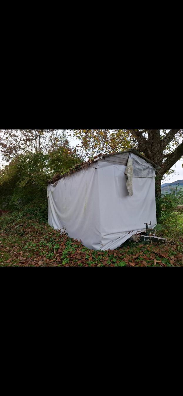 Rimorchi: Fasnachtswagen/ Anhänger – Usato da Gommiswald venduto da toudi_95