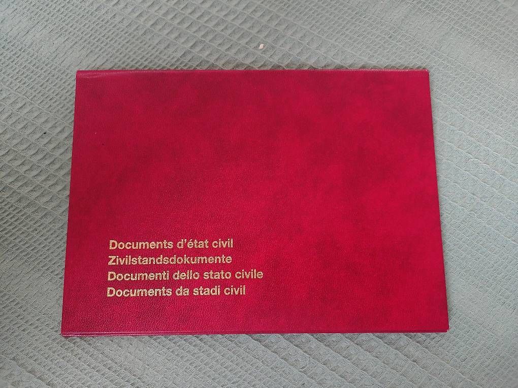 Documenti: Mappe für Zivilstandsdokumente – Usato da Dachsen venduto da PhantomDMOD