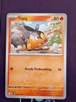 Tepig - Pokemon Ascended Heroes