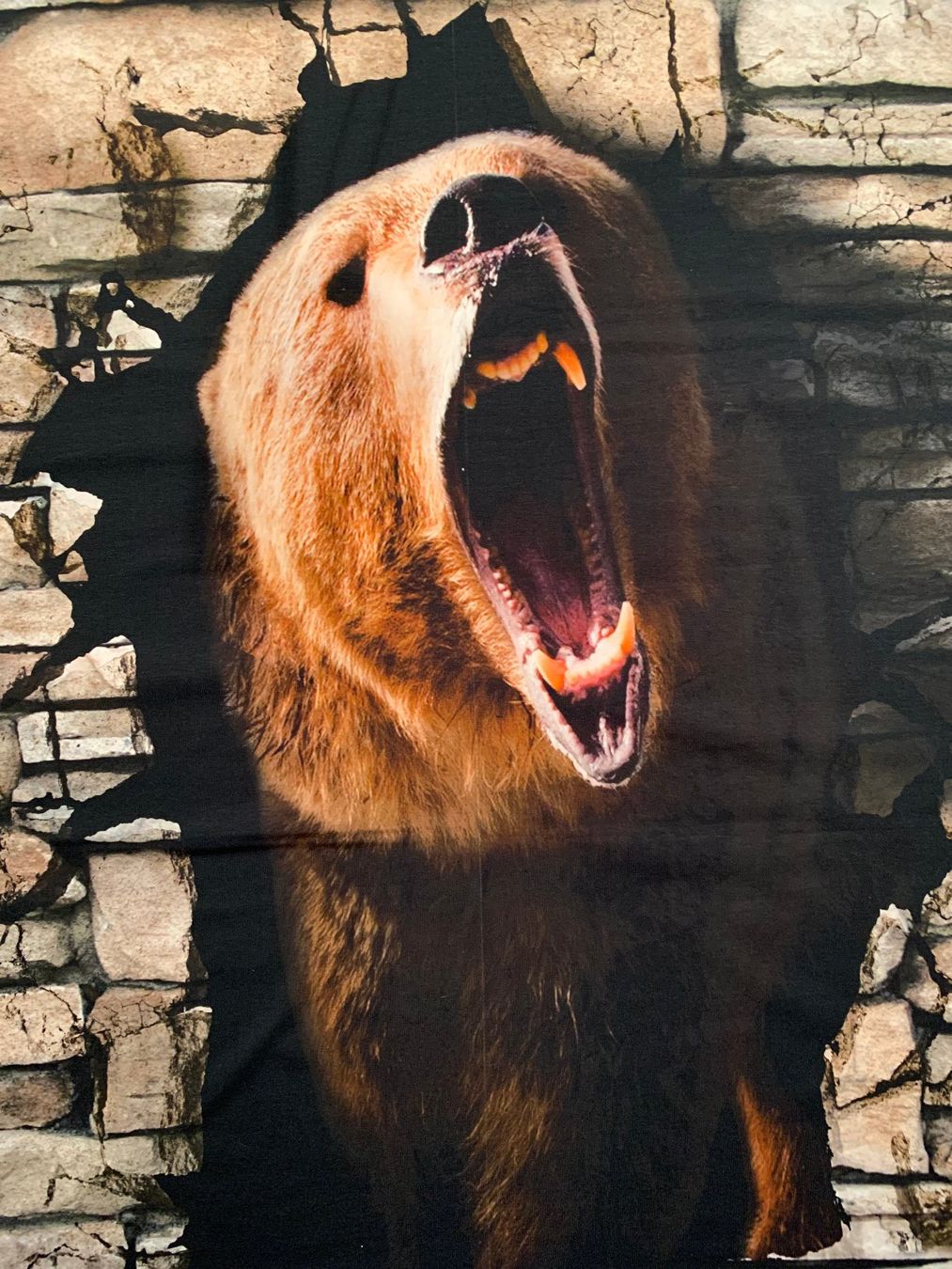 Tessuti: Jersey Stoff Panel Bär (134 X 141) – Nuovo e nell'imballaggio originale da Wetzikon ZH venduto da EvisStore 1
