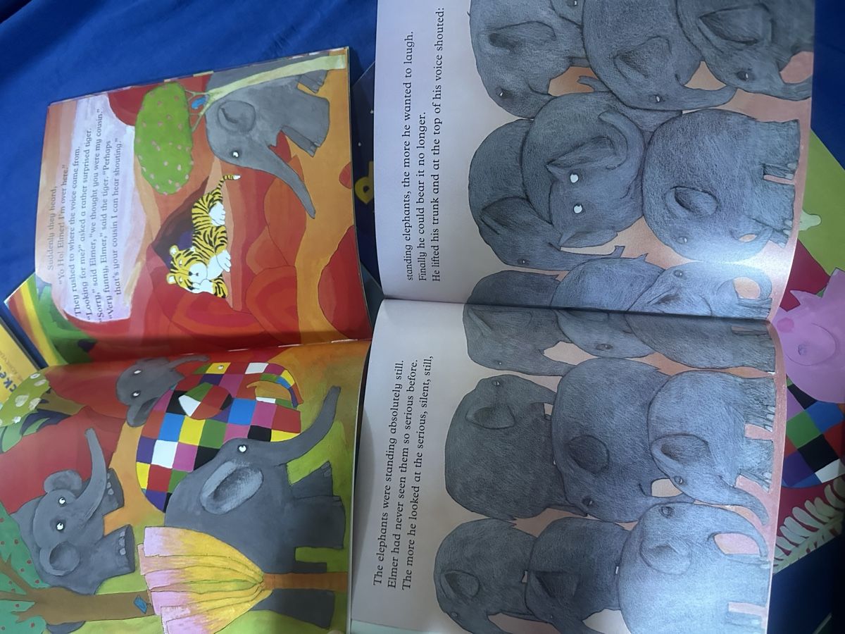 Libri: David McKee Elmer 10 bücher auf englisch – Nuovo (secondo la descrizione) da Uster venduto da bek_v2ct 2