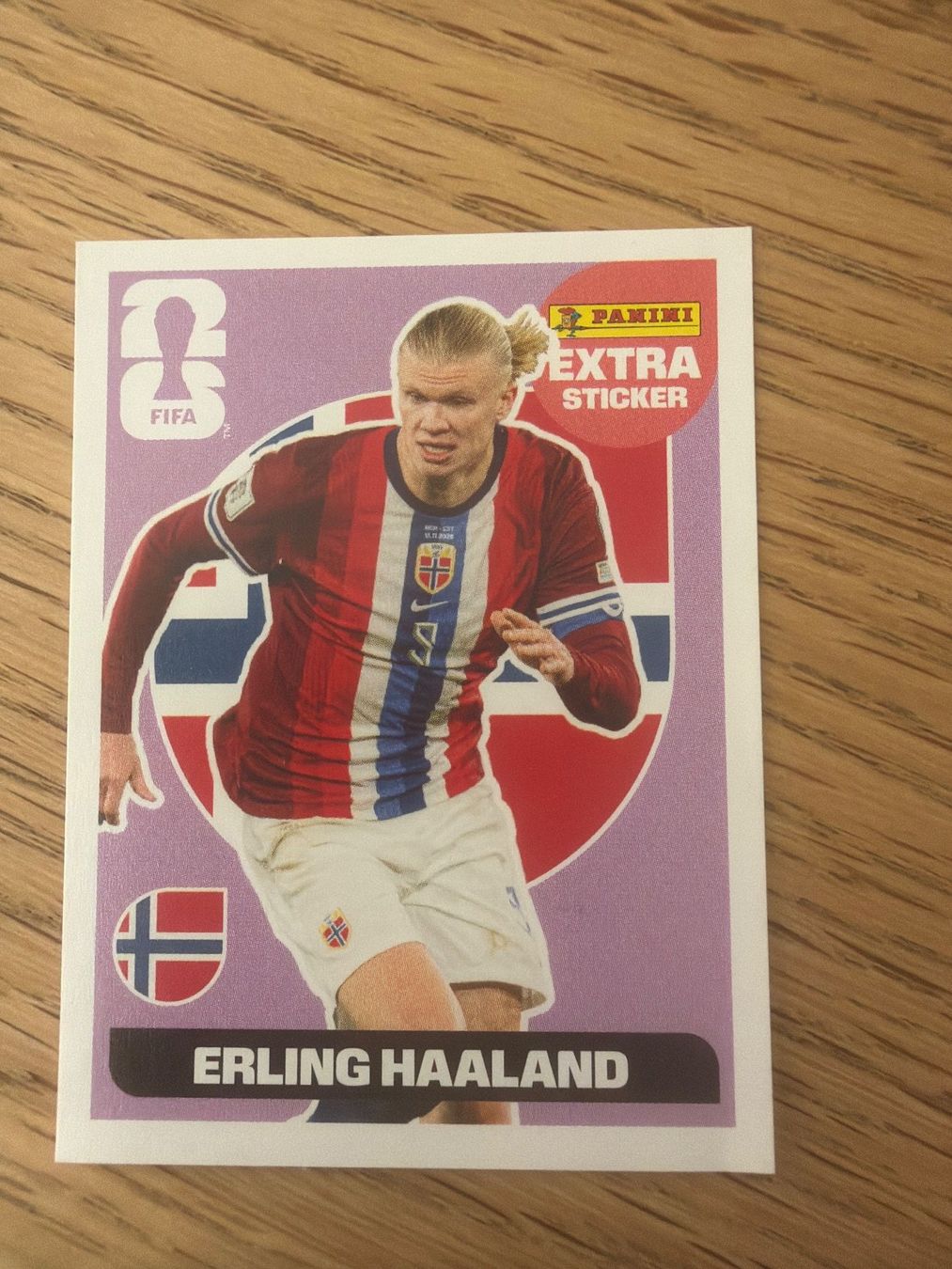 Panini Carte collezionabili: Panini Sticker Haaland Regular – Usato da Zürich venduto da lidia76