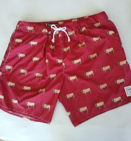 SONNENSTUBE HERREN BADEHOSE Gr. L