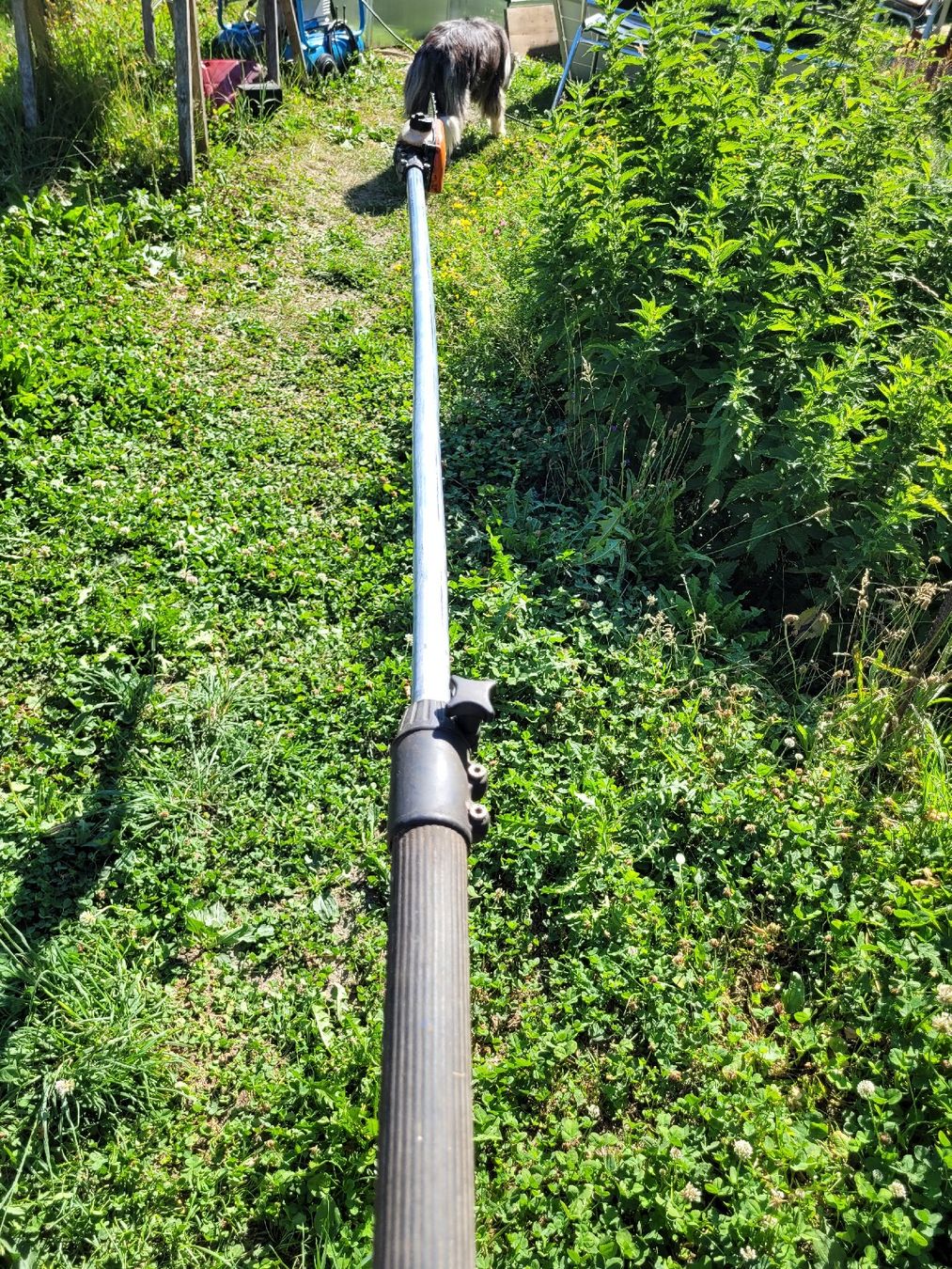 Seghe: Stihl HT 75 Hochentaster Gebraucht  – Usato da Brienz BE venduto da Hundechef 3