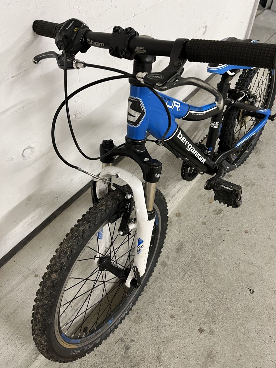 Bergamont Biciclette: Kindervelo Bergamont – Usato da Zürich venduto da divertimento4 3