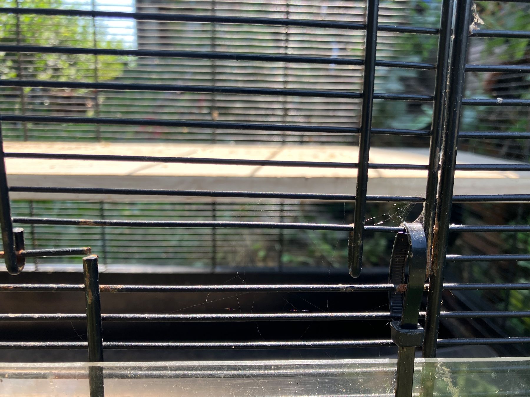 Gabbie, trasporto & Sicurezza: Grosser Nagerkäfig – Usato da Zürich venduto da MonkeyTunes 4