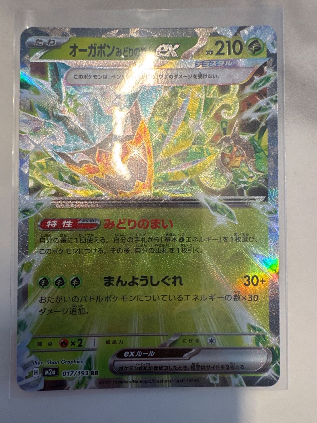 Pokémon Carte collezionabili: MEGA Dream ex - Teal Mask Ogerpon ex - Einzelkarten m2a 210 – Nuovo (secondo la descrizione) da Wil SG venduto da Prof.Eich