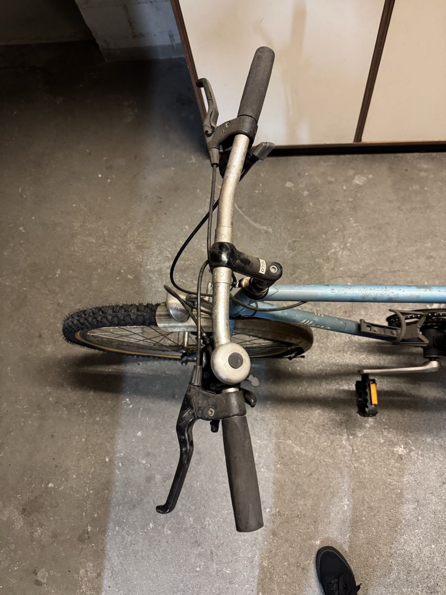 Velos: Allegro Bike – Gebraucht aus Meisterschwanden von Scania78 3