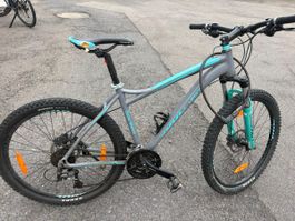 California Mountain Bike from Jumbo 