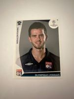Panini UEFA Champions League 2009-2010 - Nr. 307