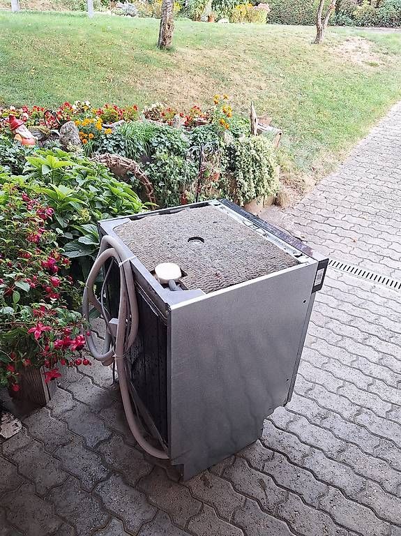 Machines à laver la vaisselle: Geschirrspüler Electrolux – D'occasion à Uetendorf par Albi125 2