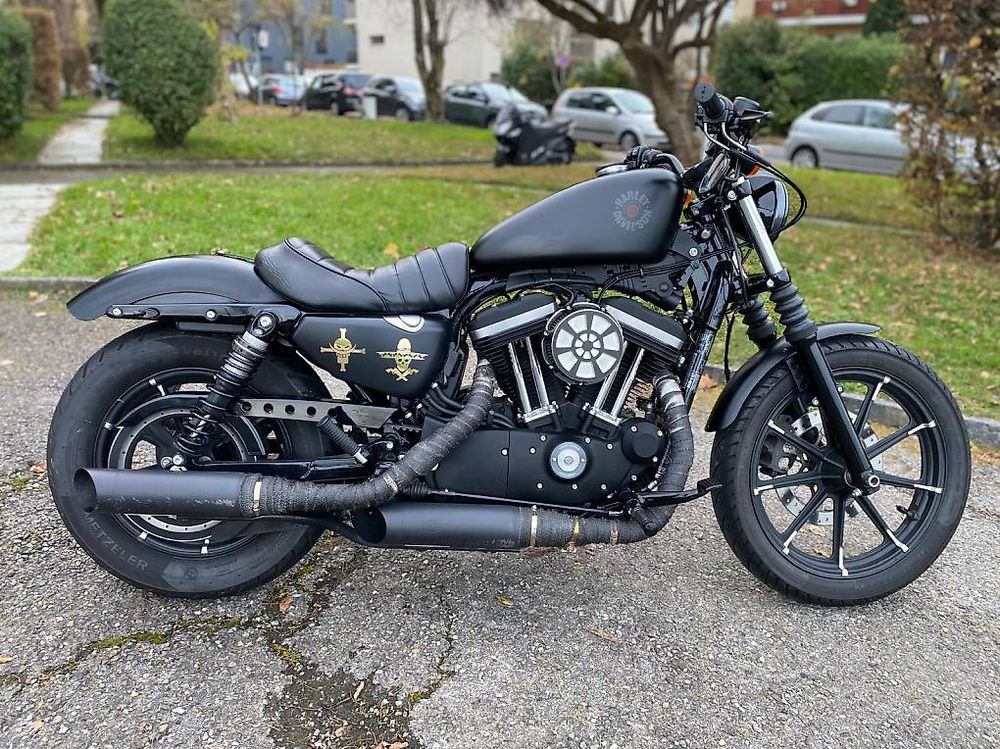 Harley 883 Iron Occasion
