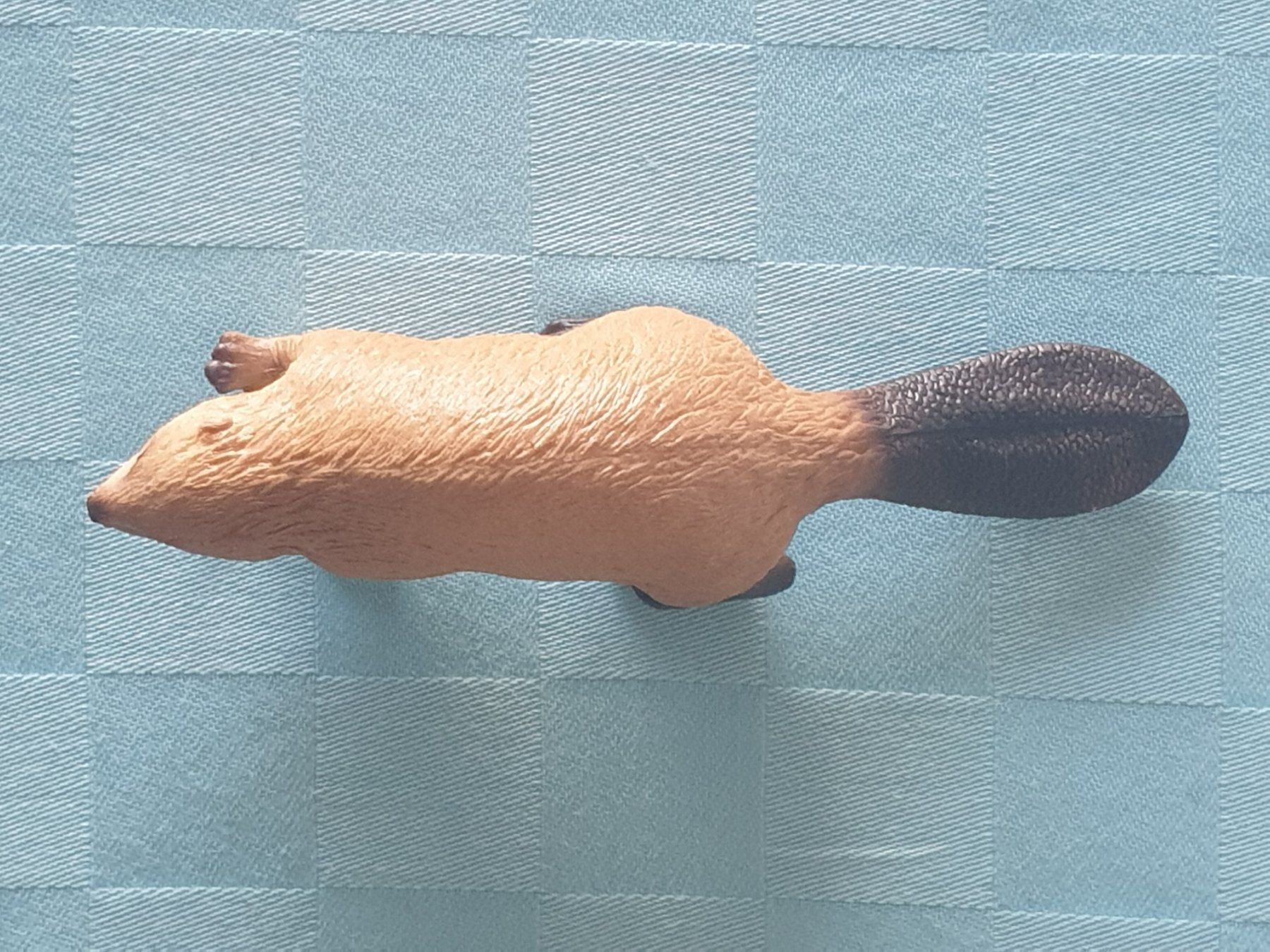 Schleich Statuette: Biber Tier Schleich – Usato da Mörschwil venduto da spirspi 6