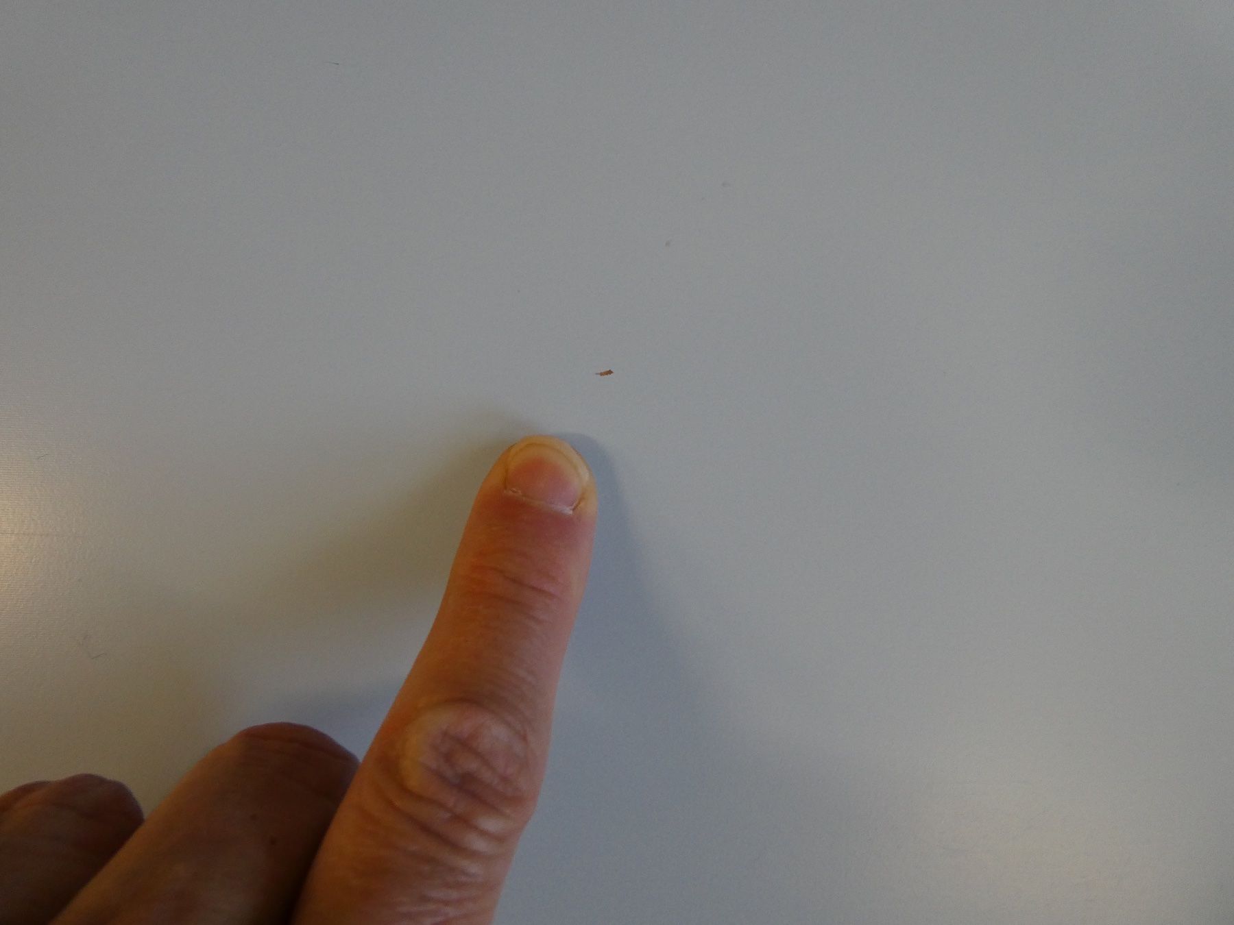 Ikea Scaffali: Ikea Wandregal Lack hellblau – Usato da Rafz venduto da Powacaddy 6