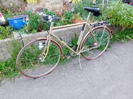 Velo