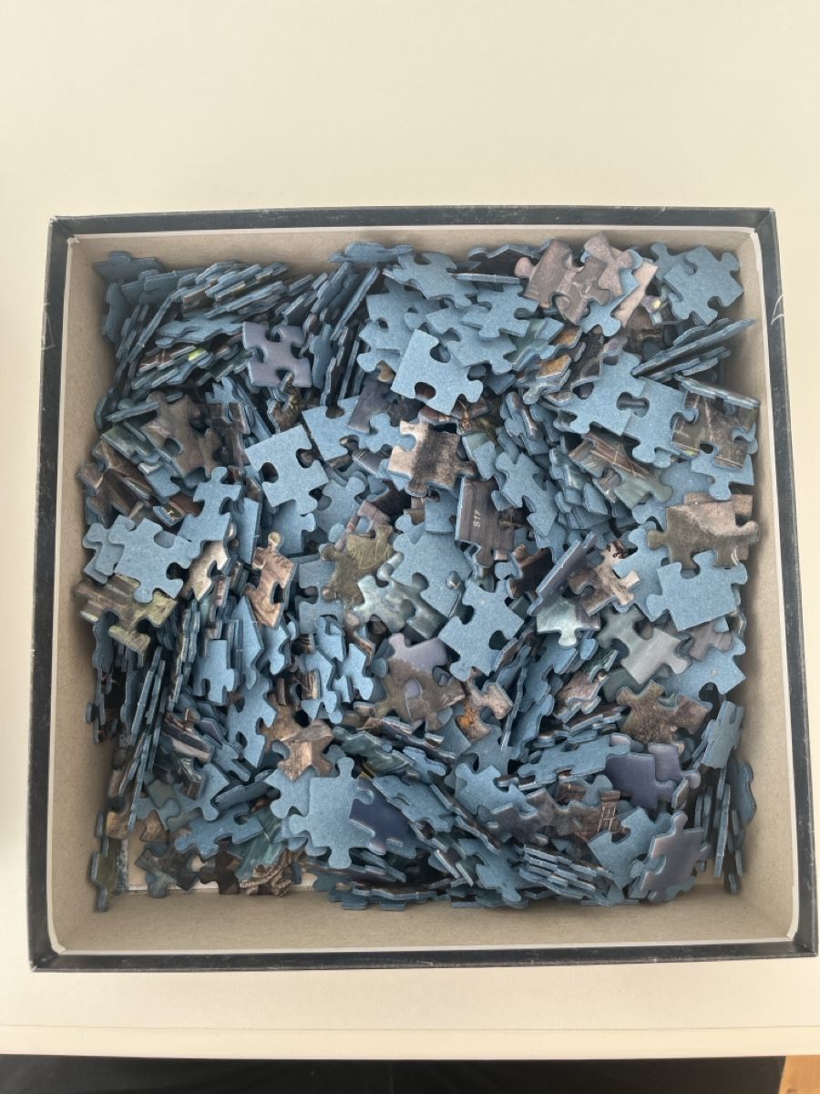 Ravensburger Puzzle: Ravensburger Exit Puzzle "The Lighthouse" 759 Teile! – Nuovo (secondo la descrizione) da Eschenbach SG venduto da Fix54 1