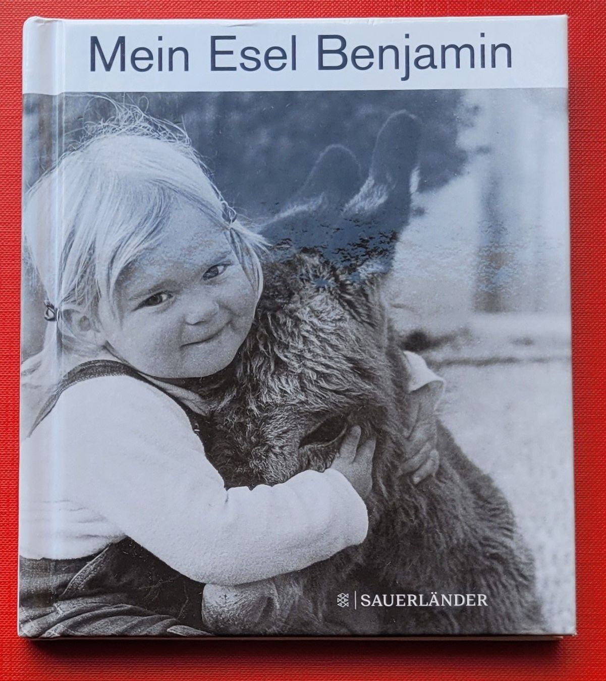 Bücher: Mein Esel Benjamin – Gebraucht aus Zürich von Avd
