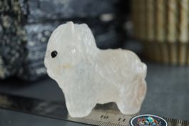 Hochland Rind     aus Bergkristall  ca 6cm x 4cm   no1