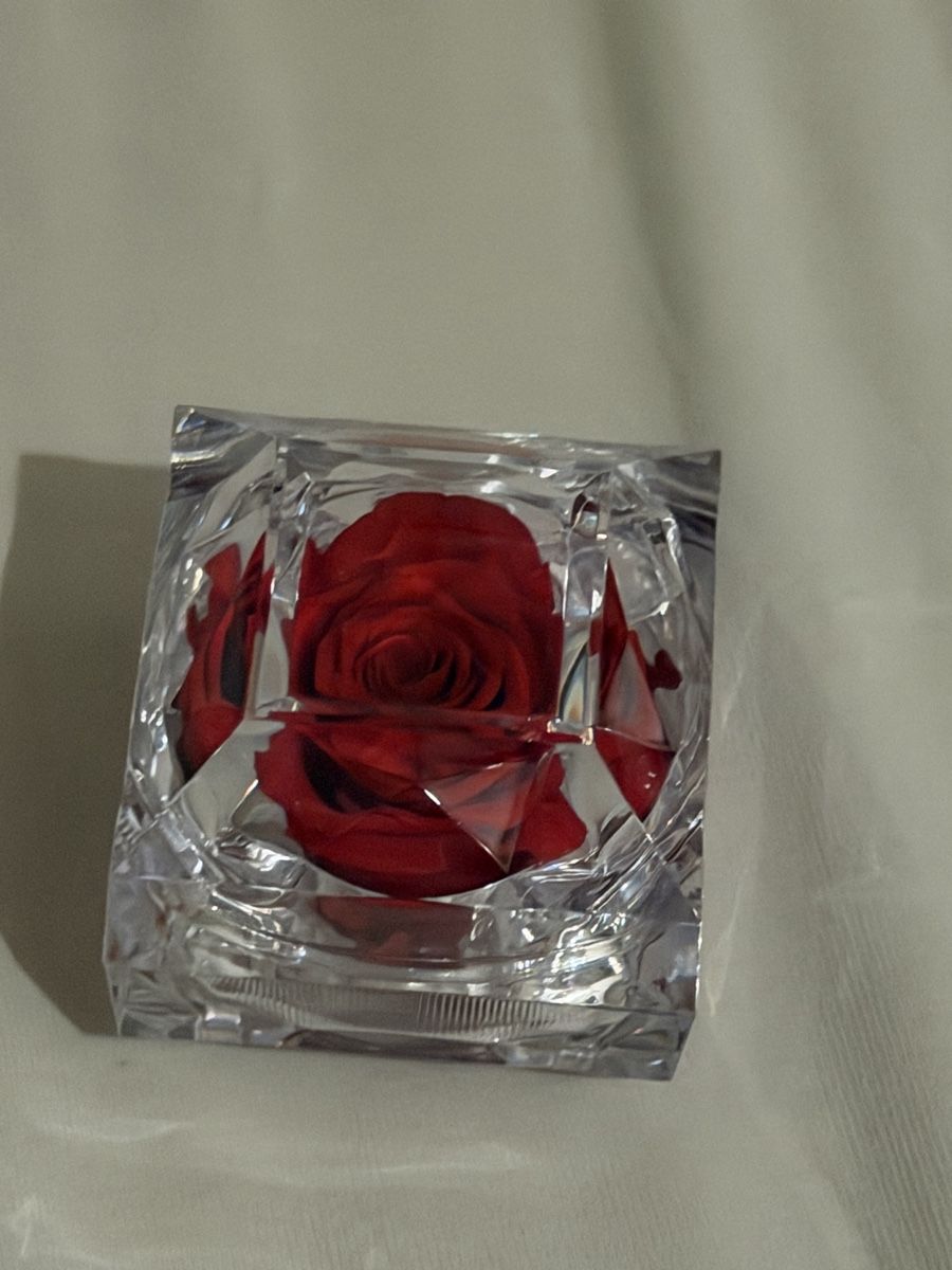 Tutte le decorazioni: Infinity Rose  – Nuovo e nell'imballaggio originale da Tennwil venduto da Zaylaaa 1