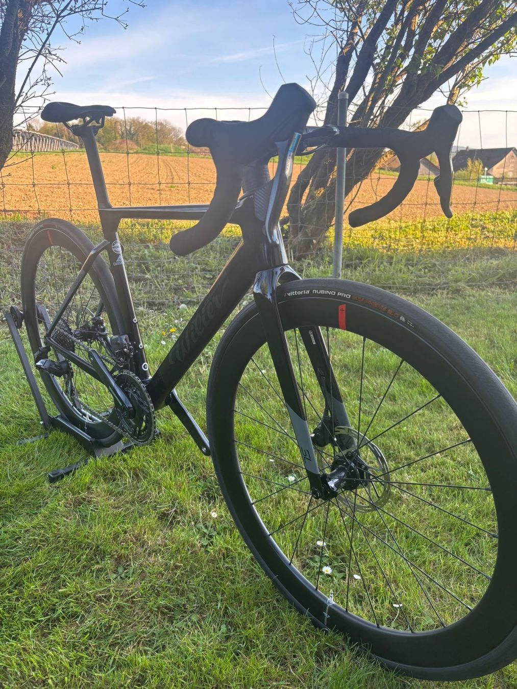 Wilier Biciclette: Wilier Filante sl – Nuovo (secondo la descrizione) da Winkel venduto da Ladina75