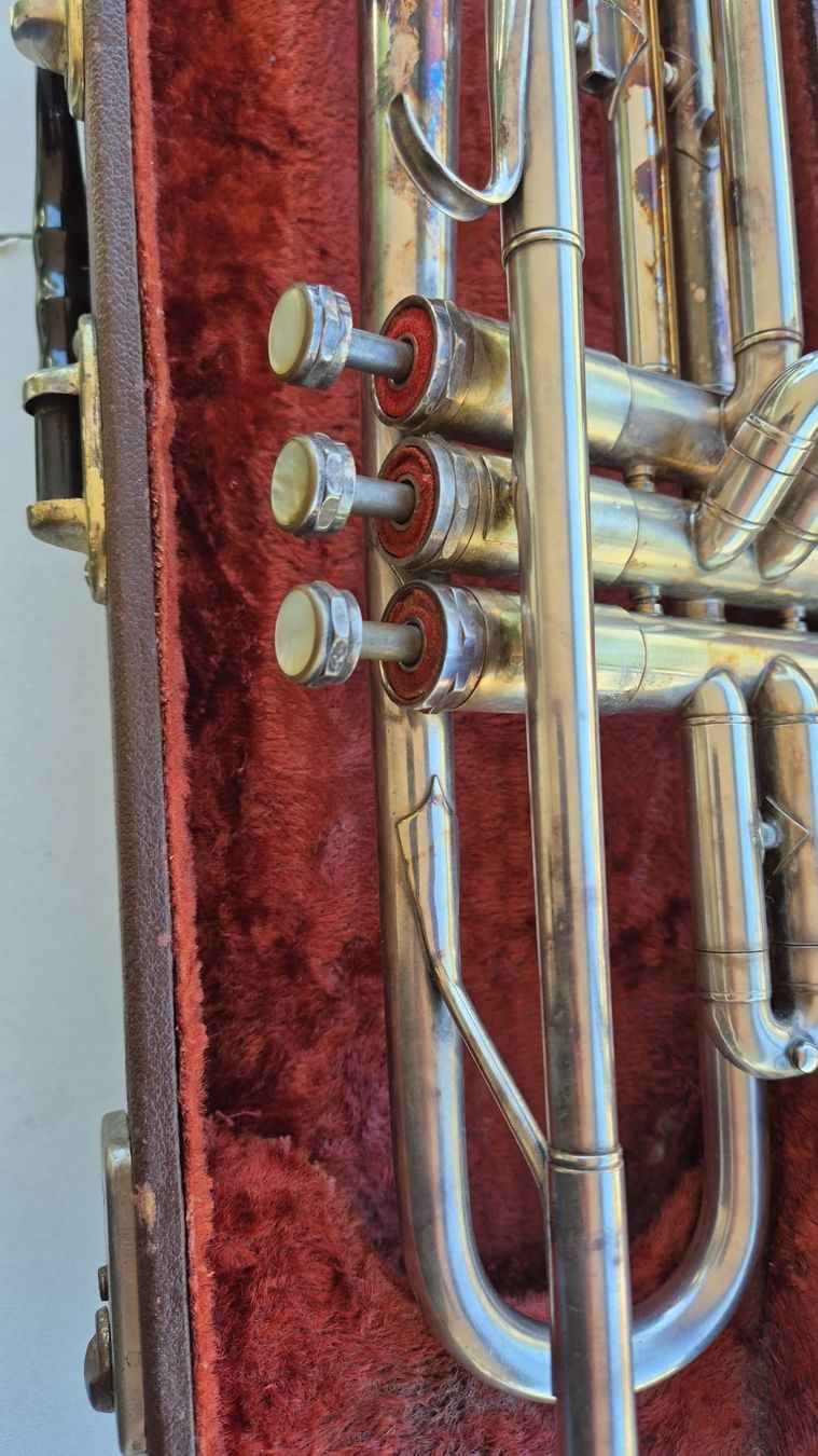 Strumenti musicali: Trompete von Oxford  – Usato da Chur venduto da jasi18 1