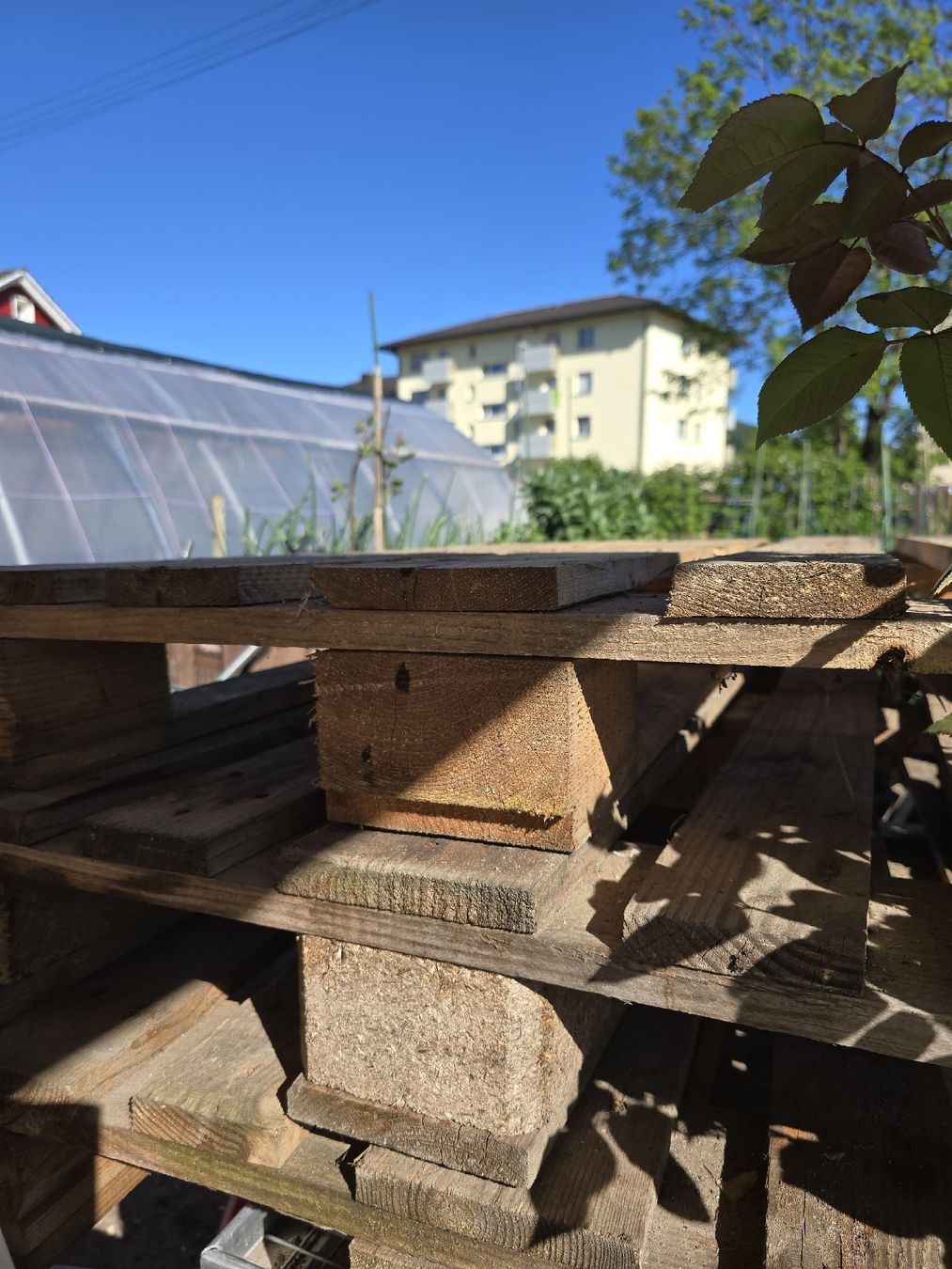 Pallets: Europalette – Usato da Sirnach venduto da Ricardo59Ha