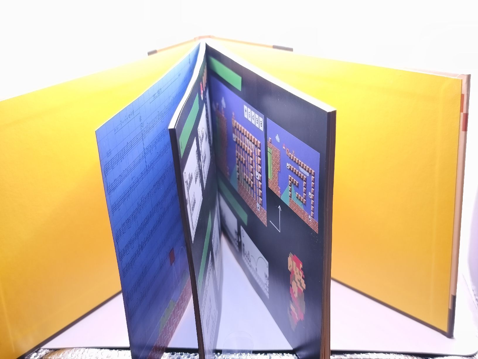 Libri: Livre Super Mario Maker Nintendo neuf – Usato da Conthey venduto da Th3gr4yf0x 2