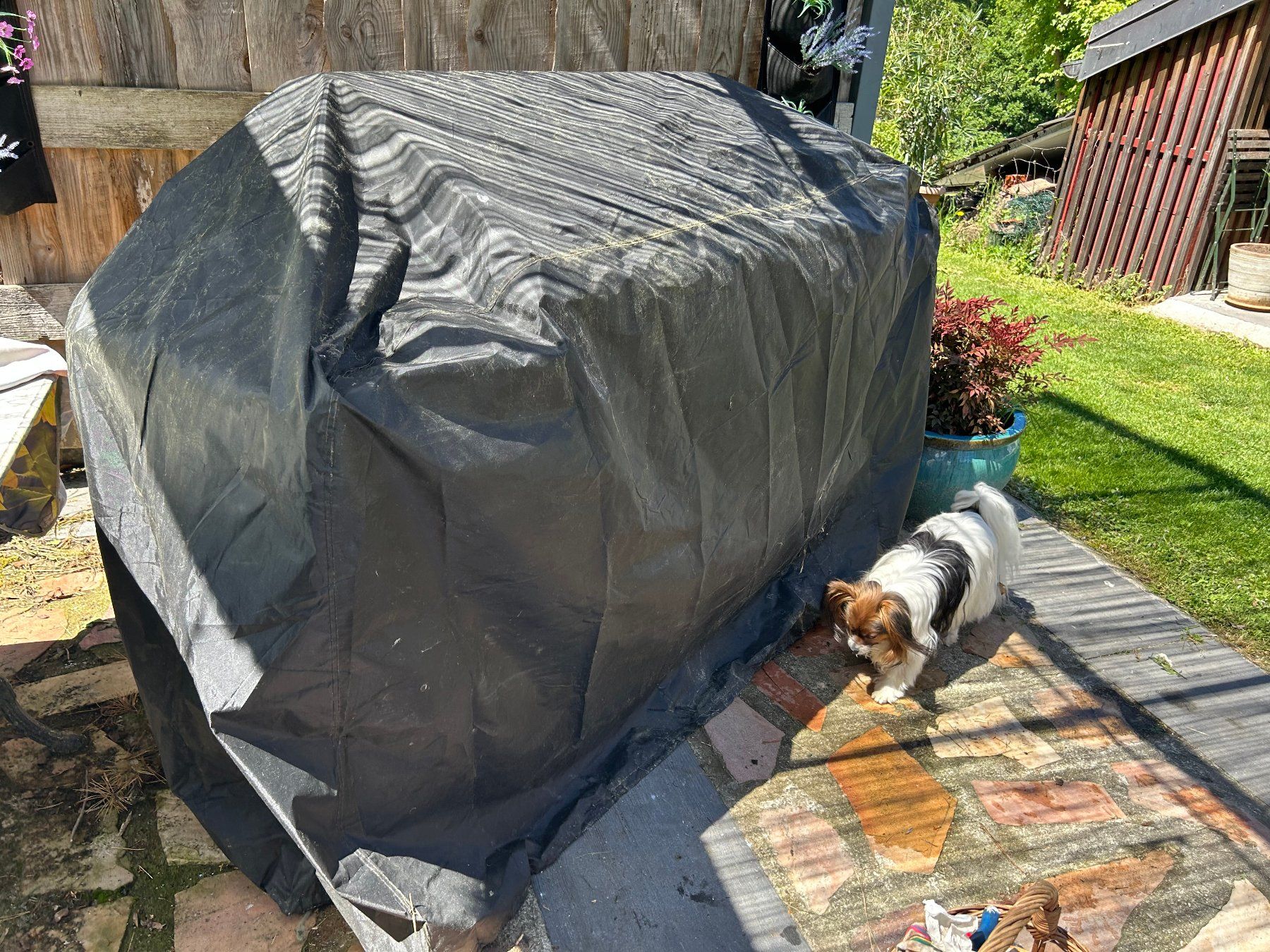 Griglie: BBQ Tenneker TG - 5 50mbar – Usato da Choëx venduto da sok_s2qz 6