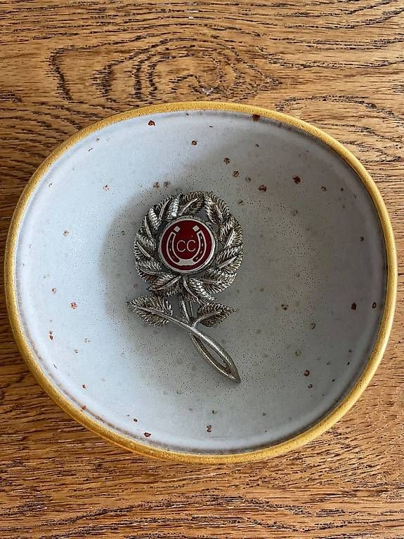 Spille & Fermagli: Vintage Brosche – Usato da Schlieren venduto da All_you_need