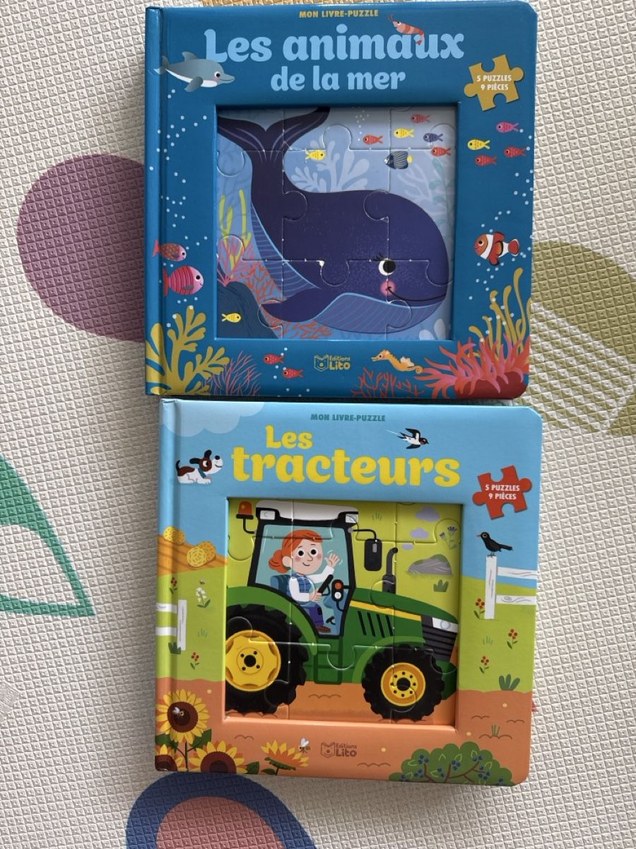 Bücher: 2 Puzzle books in French – Gebraucht aus Zug von axx3l