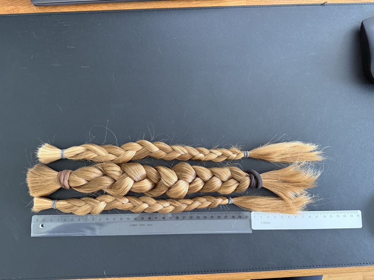 Perücken: 3 blonde Echthaarzöpfe – Gebraucht aus Altdorf UR von viv_g1