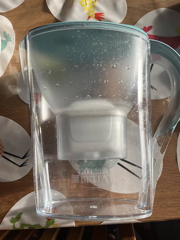 Caraffe: Caraffa Brita  – Usato da Genestrerio venduto da Ellyellys84 1