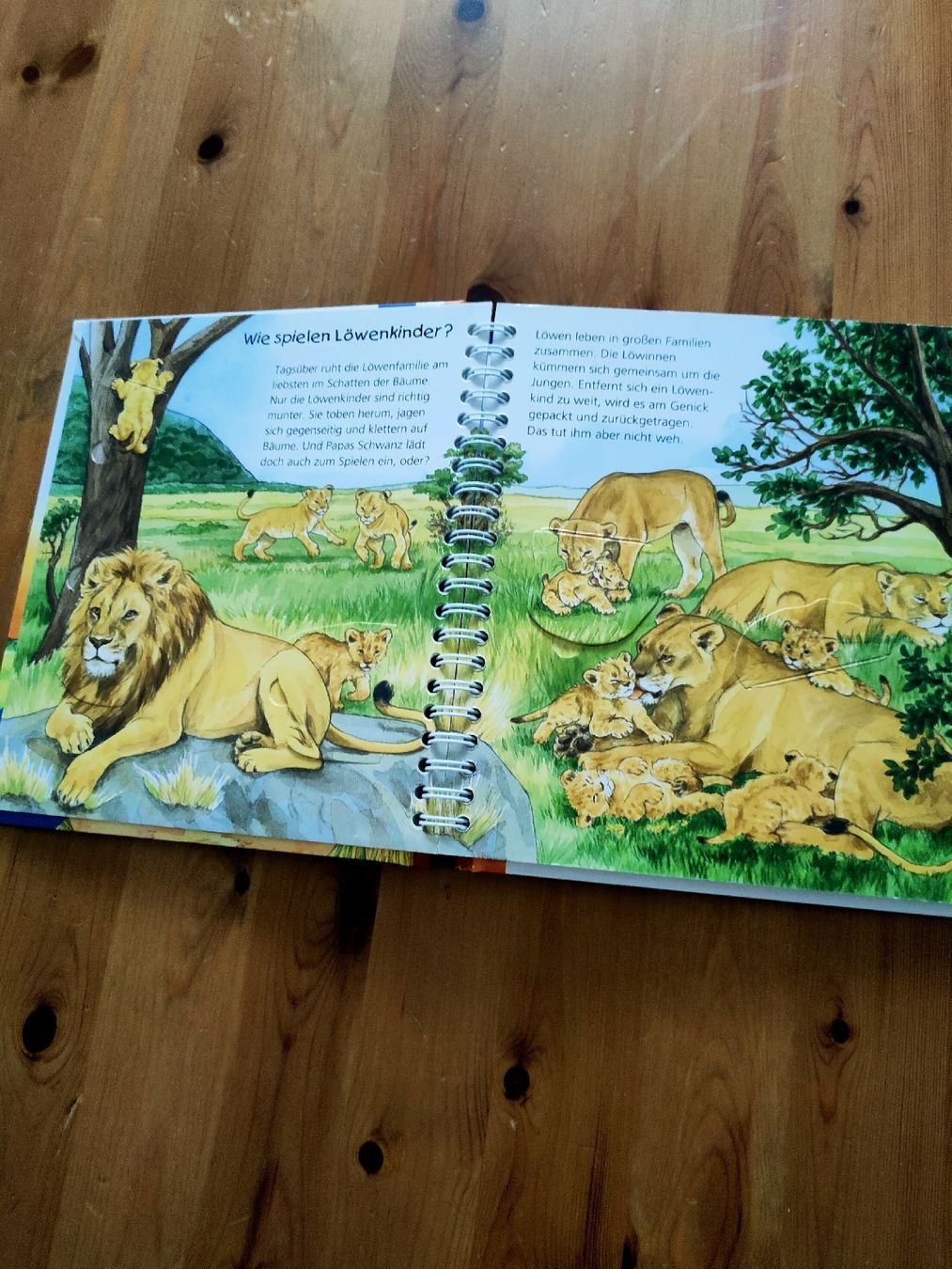 Libri: Kinderbücher: Wieso, weshalb, warum – Usato da Aesch BL venduto da lor_w6yy 2