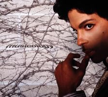 Prince - Musicology - Musik CD in gutem Zustand