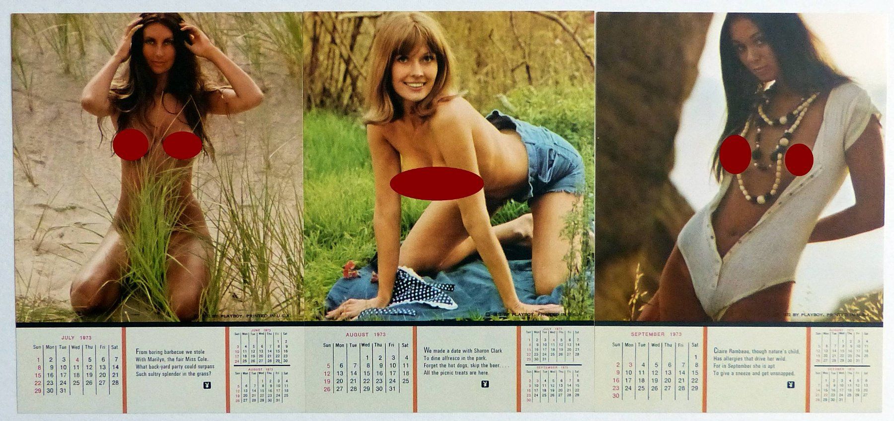 Riviste & Magazine: PLAYBOY 1973 CALENDAR ORIGINAL US RARE AND COMPLETE – Usato da Lugano venduto da YouWantUS 5
