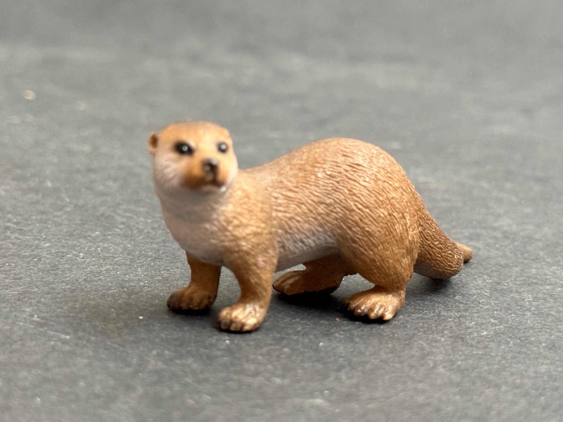Schleich Statuette: Schleich Otter Tier Schleichtier – Usato da Ennetbaden venduto da mapa05 5