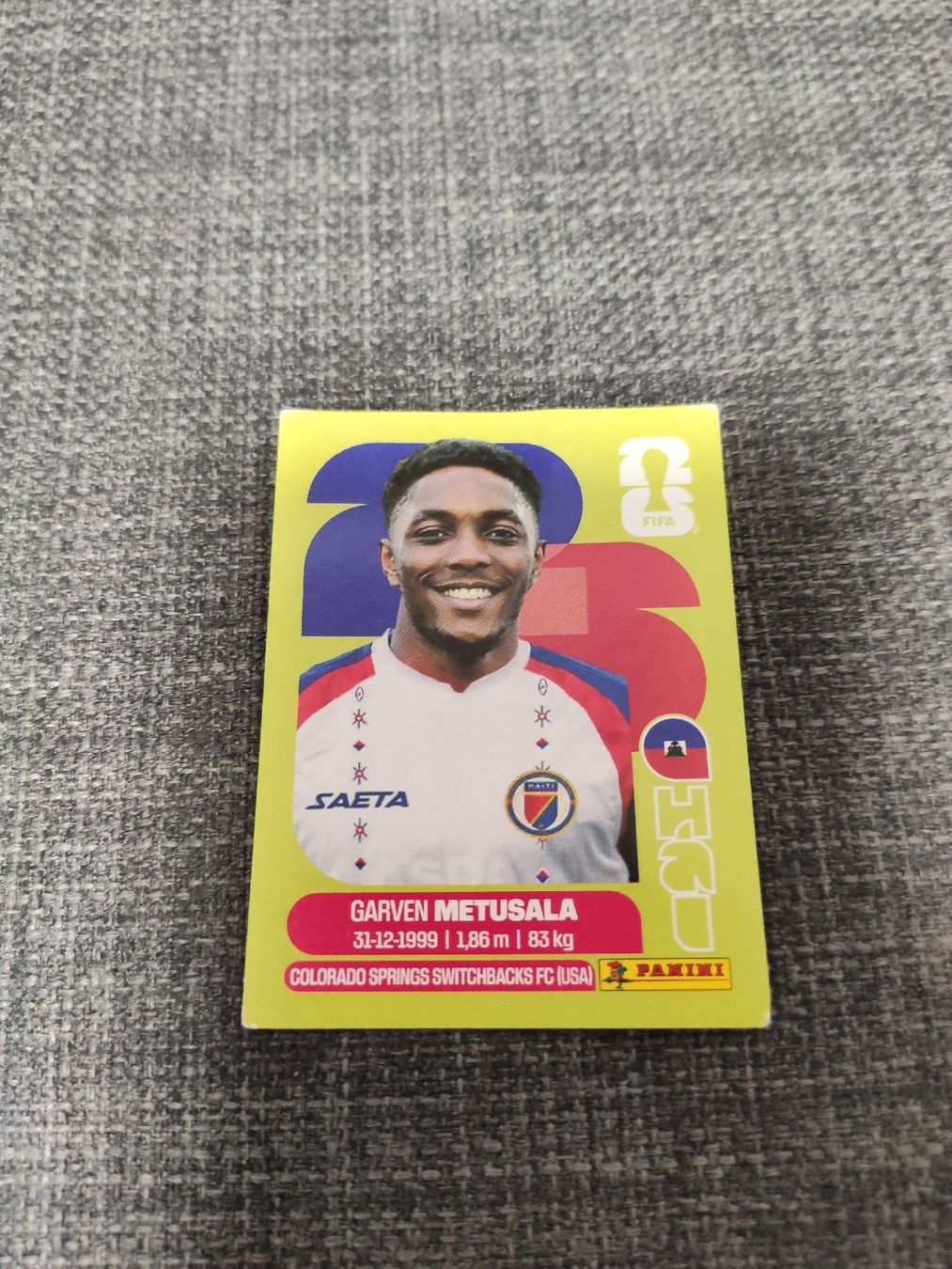 Panini Carte collezionabili: panini HAI 8  – Usato da Ettenhausen TG venduto da danielhoop